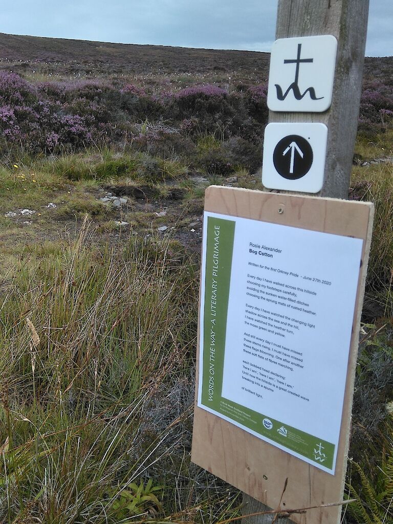 Rosie Alexander's poem "Bog Cotton" was written for the first Orkney Pride, 2020.